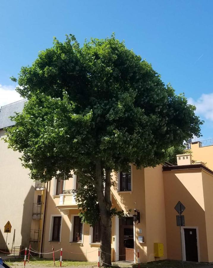 Apartamenty Na Cichej 5 A4 Kolobřeh Exteriér fotografie